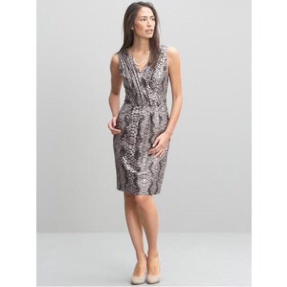Snake Print Banana Republic V-neck Dress